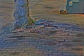 Damaged Brick Paving