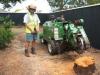 Medium / Large Stump Grinder, dry per day